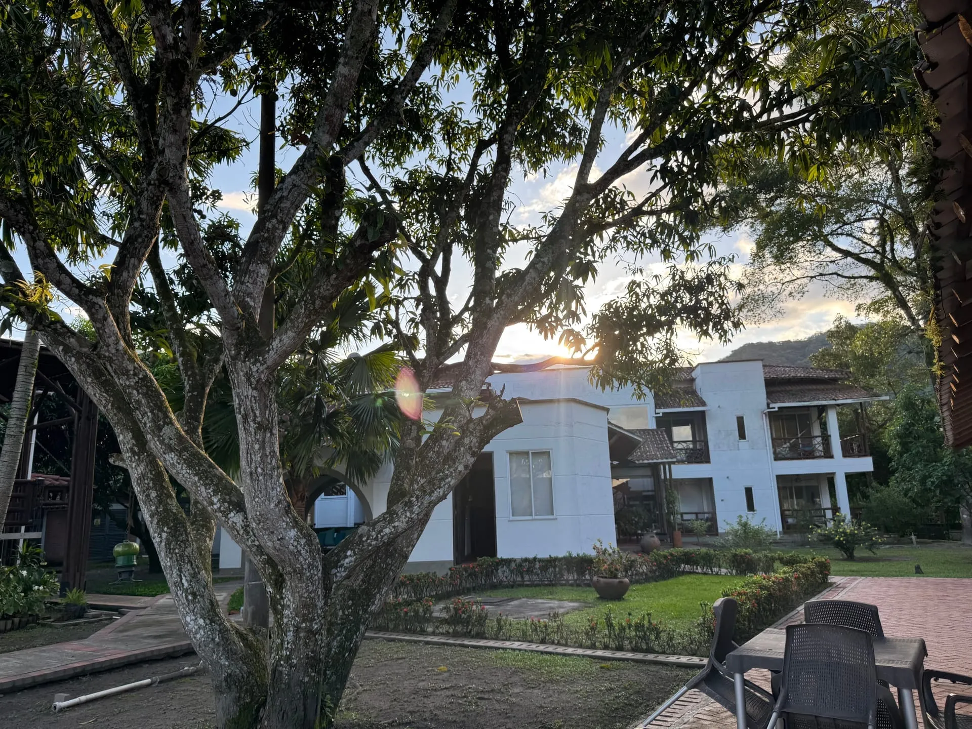Día Completo de Bienestar